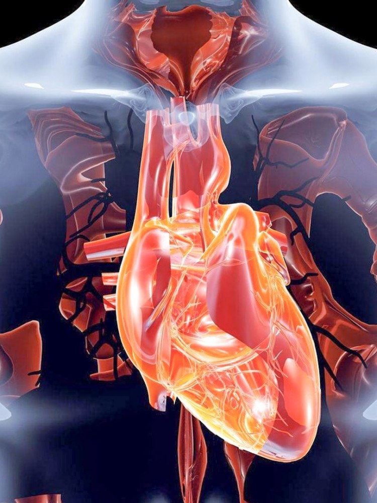 ΚΑΡΔΙΟΧΕΙΡΟΥΡΓΙΚΗ